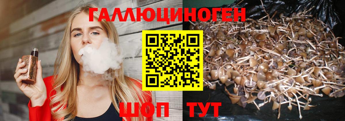 Видное  Галлюциногенные грибы мицелий  Вход с VPN  Псилоцибиновые грибы Magic Shrooms 